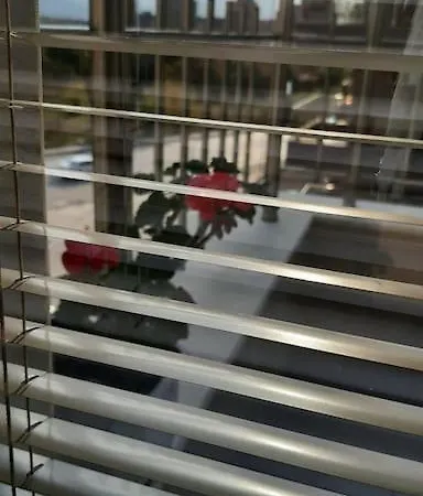 Apartment Rowing Base